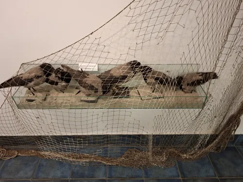 Ekspozicija / S. Javaitytės nuotr.