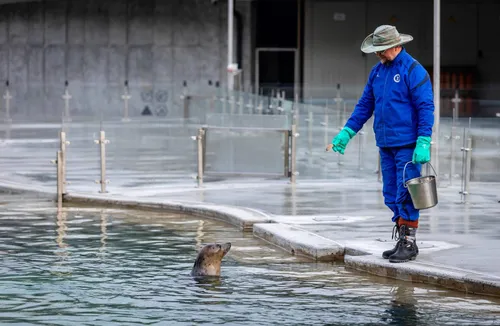 Arūnas Grušas / A. Mažūno nuotr.
