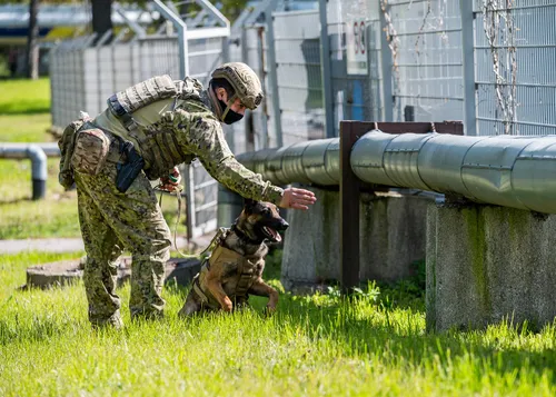 59d0f11db942311e9822c2ac2eb9f193