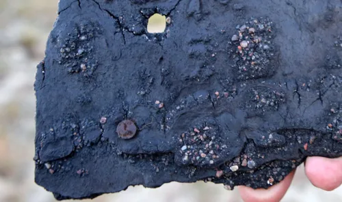 K. Mizgirio rastas kopose artefaktas / M. Patašiaus nuotr.