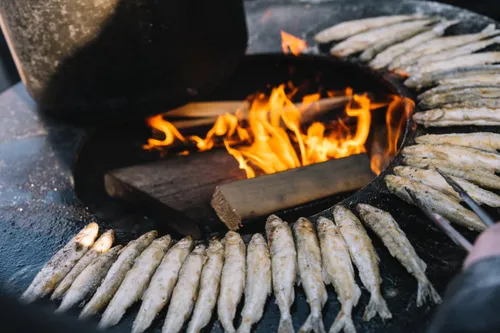 „Stintapūkis“ / D. Rimeikos nuotr.