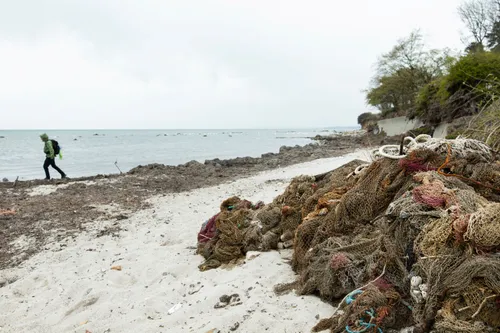 Opiausios Baltijos jūros problemos / G. Bučo nuotr.