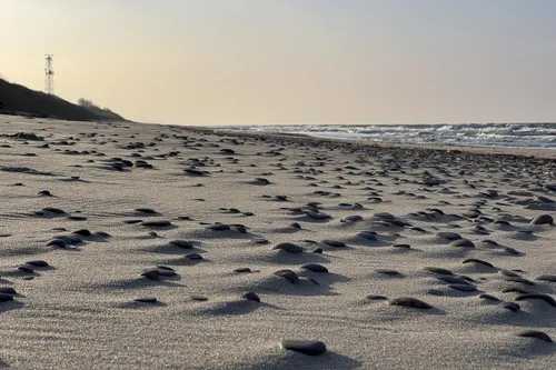 d4db2e83a9a7a3919a5b90691682f283