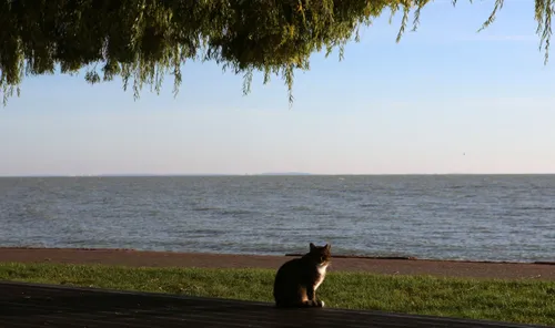 Rudeninė Nida / M. Patašiaus nuotr.