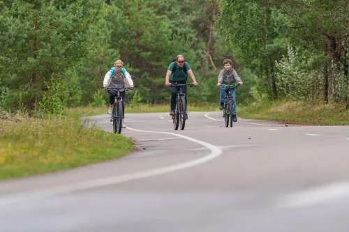 Dviračių takas Nida - Preila / R. Tenio nuotr.