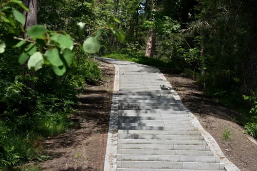 Kuršių g. pėsčiųjų takas / Neringos sav. nuotr.