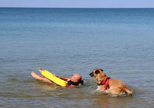 Nidos gelbėtojai / M. Patašiaus nuotr.