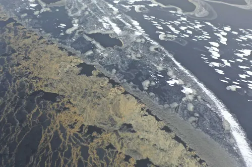 Paulius Šliaupa. Kadras iš vaizdo filmo Après nous, 2022 m.