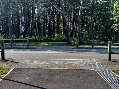 Perėjimas link jūros 3