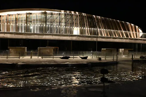 Baltijos jūros gyvūnų reabilitacijos centras / Ruoniukas / P. Kulikov nuotr.