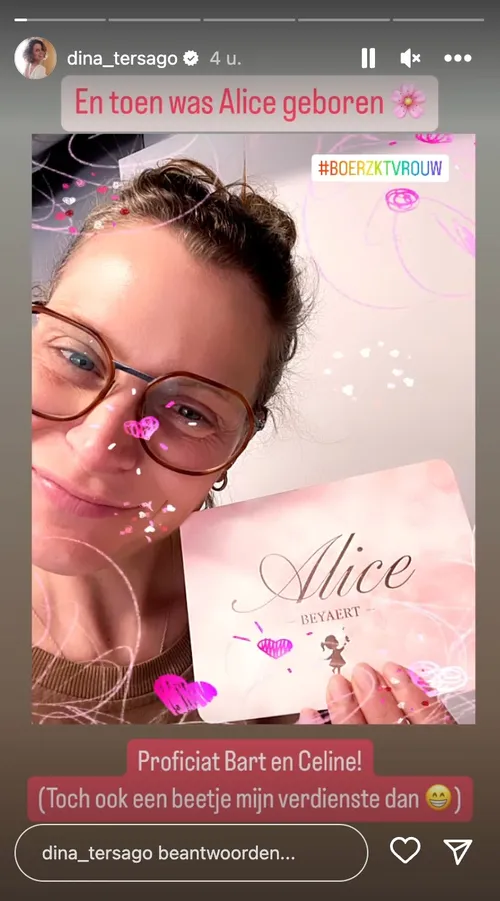 Bron: Instagram Stories (@dina_tersago)