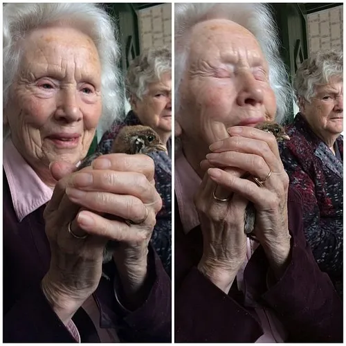 2017 12 22 ben blogt moeder en kuiken 550