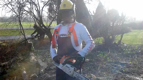 2014 01 27 groenhorst kettingzagen 1