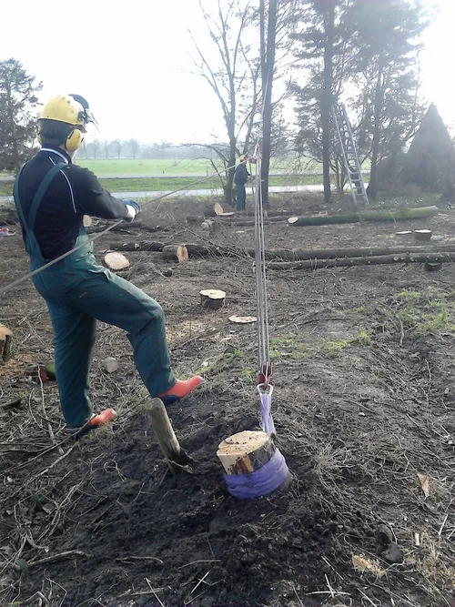 2014 01 27 groenhorst kettingzagen 3