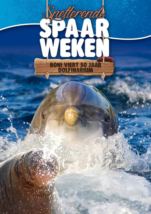 2015 01 16 boni dolfinarium poster