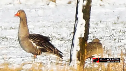 2015 01 24 de kleine trap 1