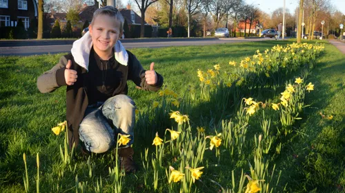 2015 01 25 narcissen zee 25 januari 2015 dico