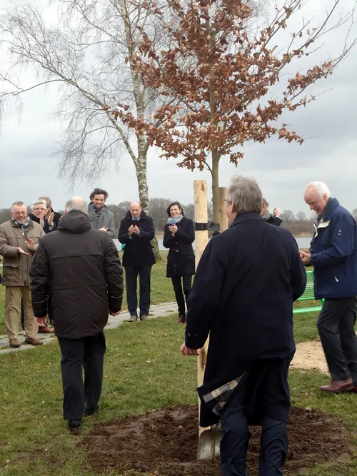 2015 03 13 aanplant rode beuk op zeumeren 2