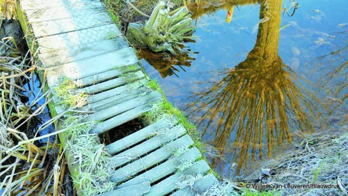 2015 04 22 appelpad1 foto blauwdruk willemvanleuveren