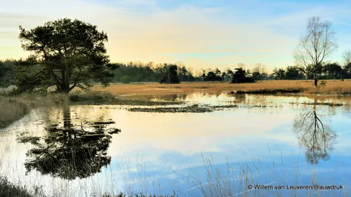 2015 04 22 kruishaarderpad1 foto blauwdruk willemvanleuveren