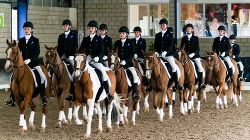 2015 05 25 manege kraay 1