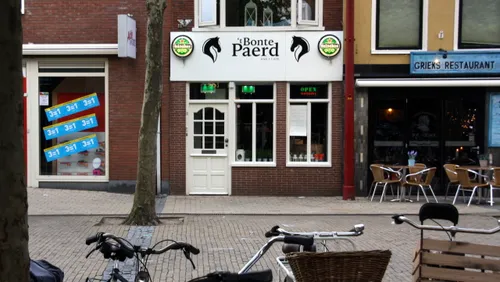 2015 07 08 bonte paerd