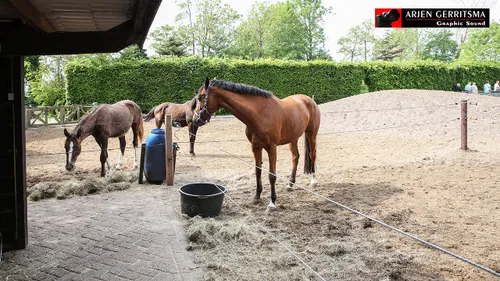 2016 05 21 zorgerf buiten land 013