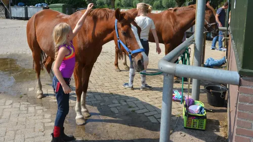 2016 08 29 kraaij open dag 27 8