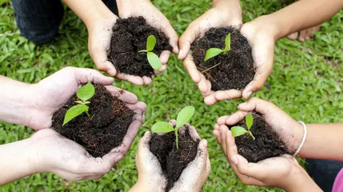 2016 09 16 hovenier helpt 2 9