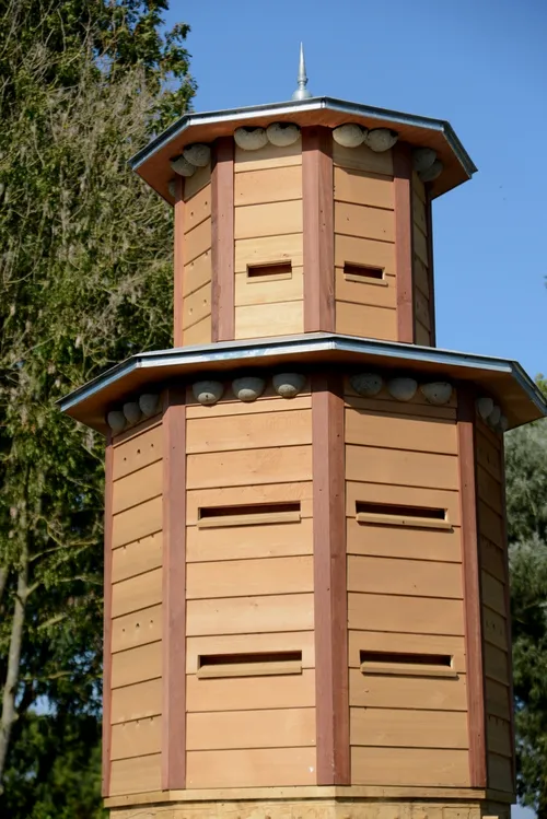 2016 09 25 fauna flat bad hulckesteijn zwaluwnesten