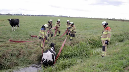 2016 10 08 ongeal zeedijk oe uit sloot 2
