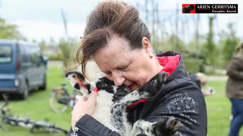 2017 04 12 schapen 020