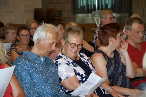 2017 06 14 tineke luijendijk geen voorzitter meer