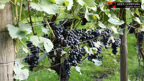 2017 09 09 bhn bezoekt aan de breede beek 22