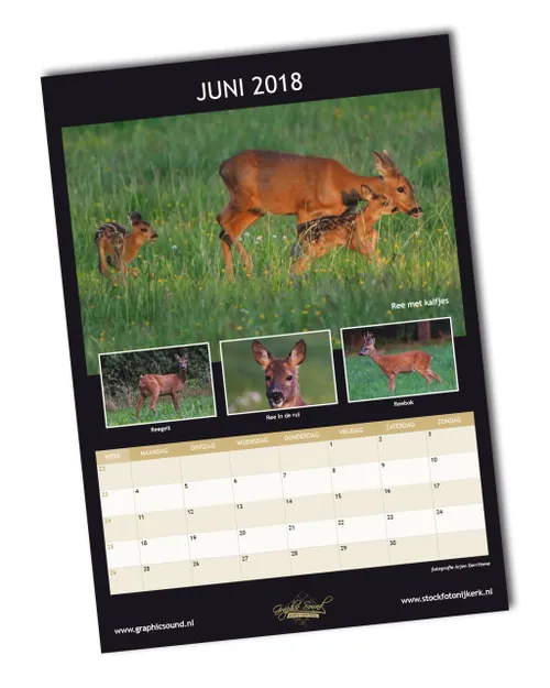 2017 09 19 kalender arjen
