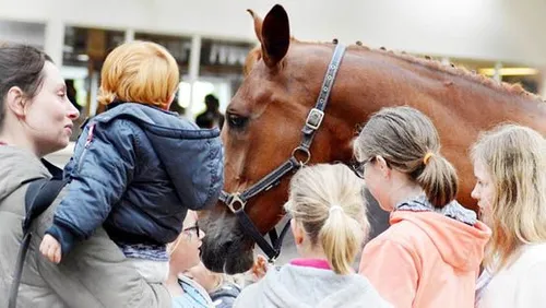2017 09 20 manege slichtenhorst 3