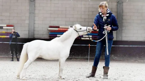 2017 09 20 manege slichtenhorst 4