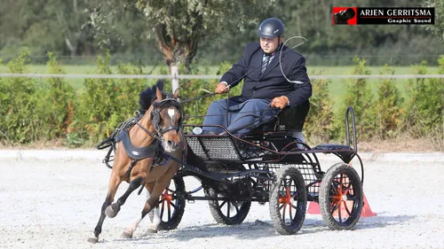 2017 09 23 hippiade mennenl 018