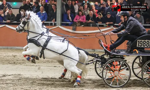 2017 11 05 menindoor 025