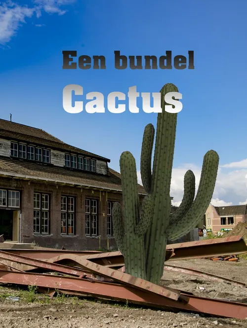 2017 11 06 omslag bundel cactus
