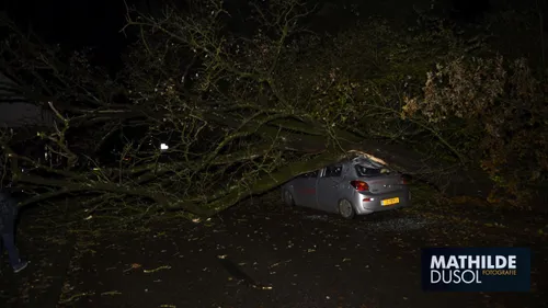 2017 11 21 meinstraat 1