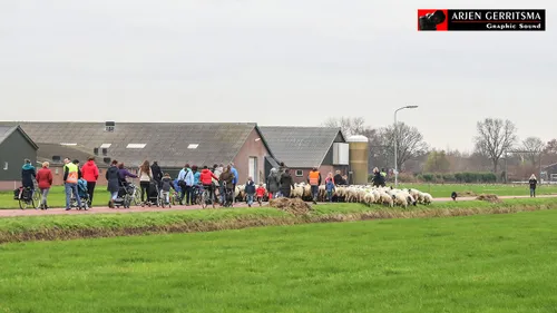2017 12 06 schapen uitzwaaien 016
