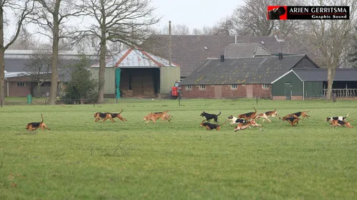 2018 01 27 slipjacjt 001