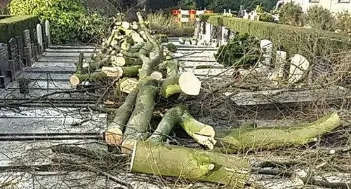 2018 01 30 begraafplaats hoevelaken stormschade 1