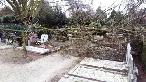 2018 01 30 begraafplaats hoevelaken stormschade 3