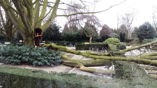 2018 01 30 begraafplaats hoevelaken stormschade 4