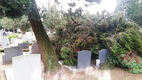 2018 01 30 begraafplaats hoevelaken stormschade 5