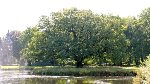 2018 02 12 historisxh hoeflake boom