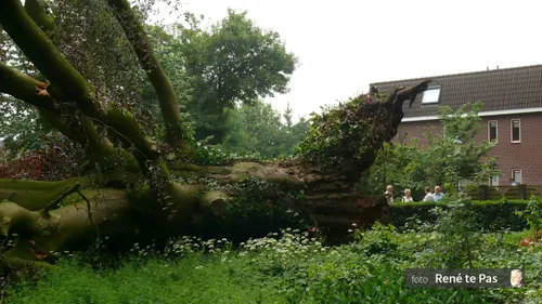 2018 05 30 huize de brink de oude boom achter huize de brink heeft het vanmorgen 30 05 2018 vroeg in de morgen begeven c2a9 r te pas 5