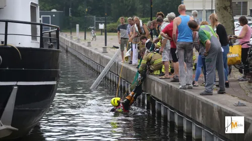 2018 05 31 hert in water 2